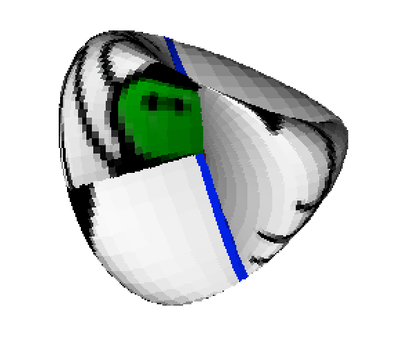 Cell wrapped to form a torus